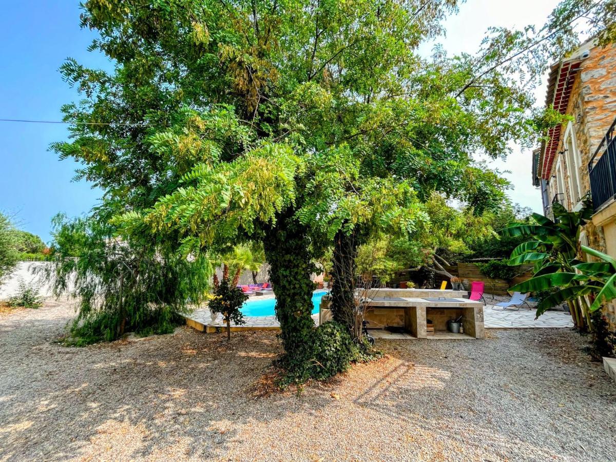Napoleon Piscine&jacuzzi Villa *