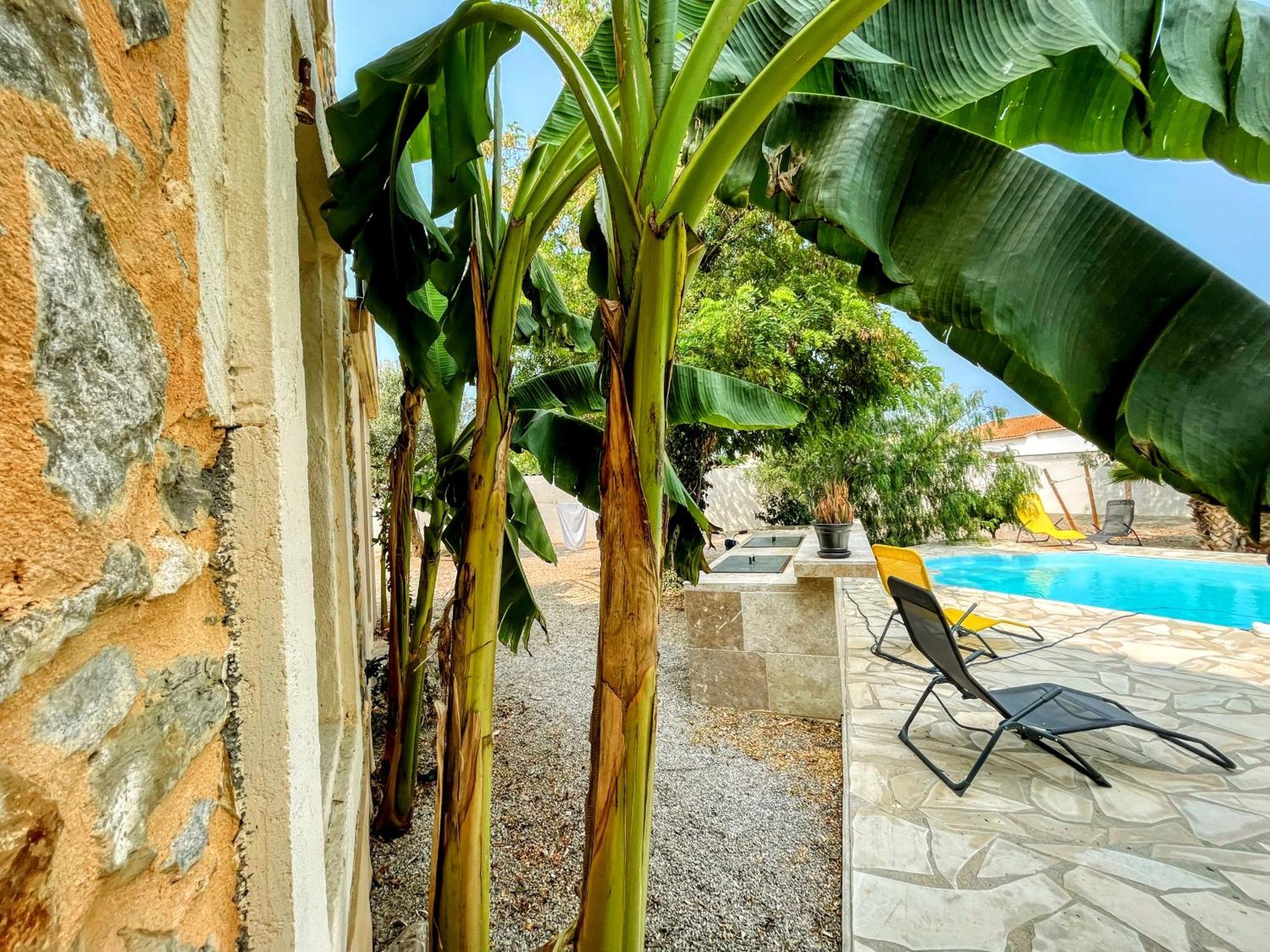 Napoleon Piscine&jacuzzi Villa