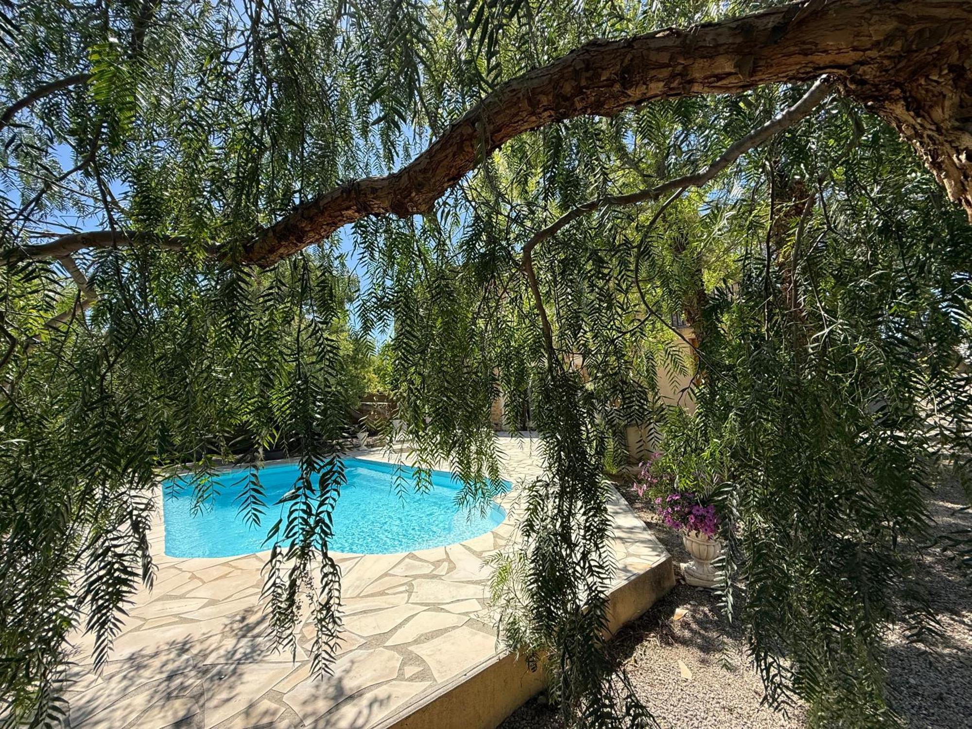 Napoleon Piscine&jacuzzi Villa Le Somail